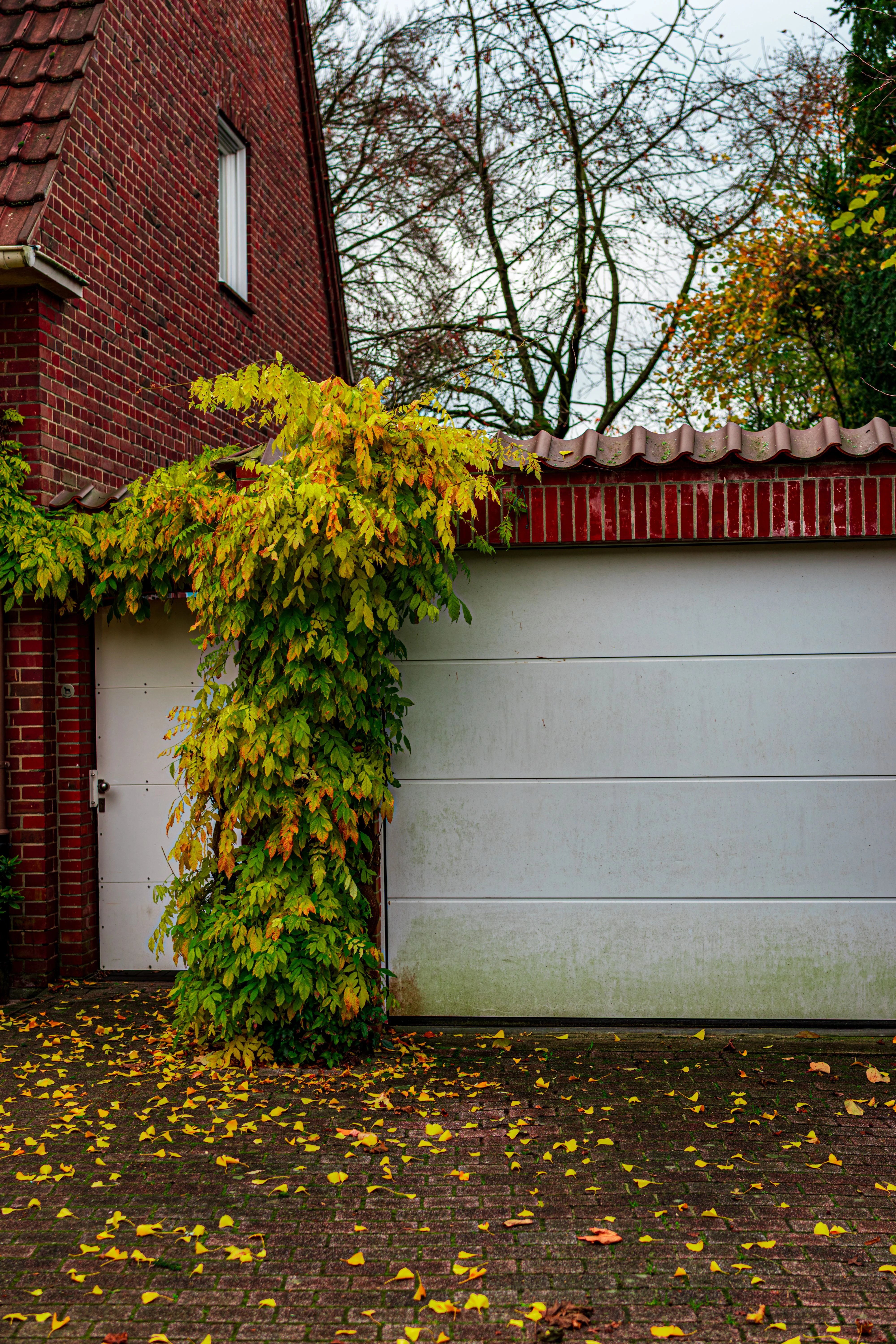 Residential garage door in Tukwila